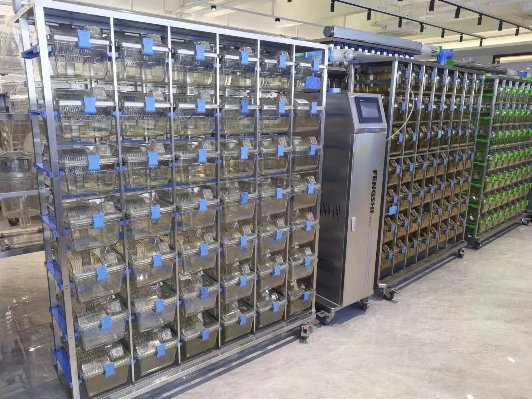 Lab Rat Ivc System Animal Individually Ventilated Cage Ivc with Rack