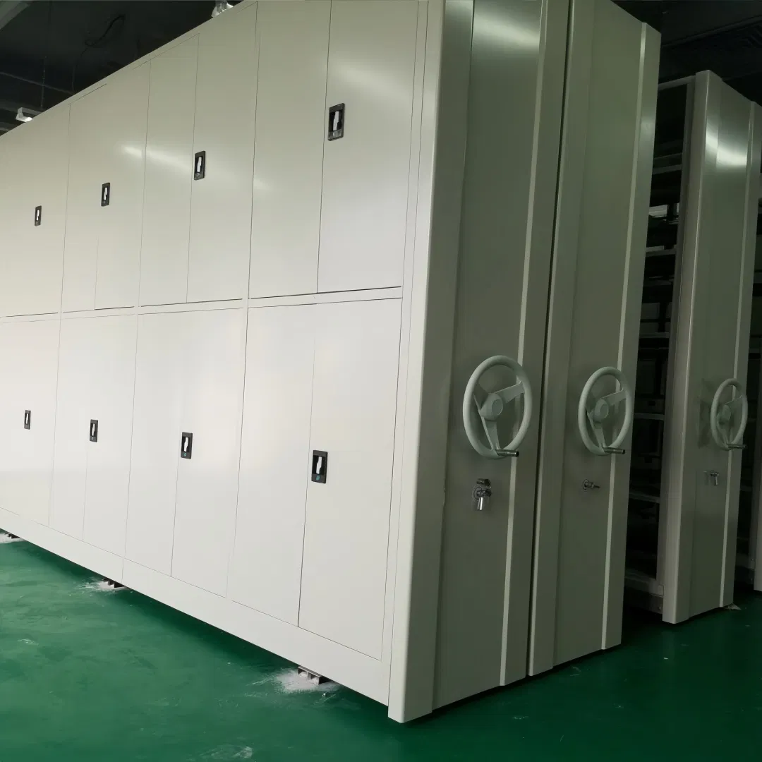 Customizable Mobile Shelving System for Efficient Lab and Archive Storage