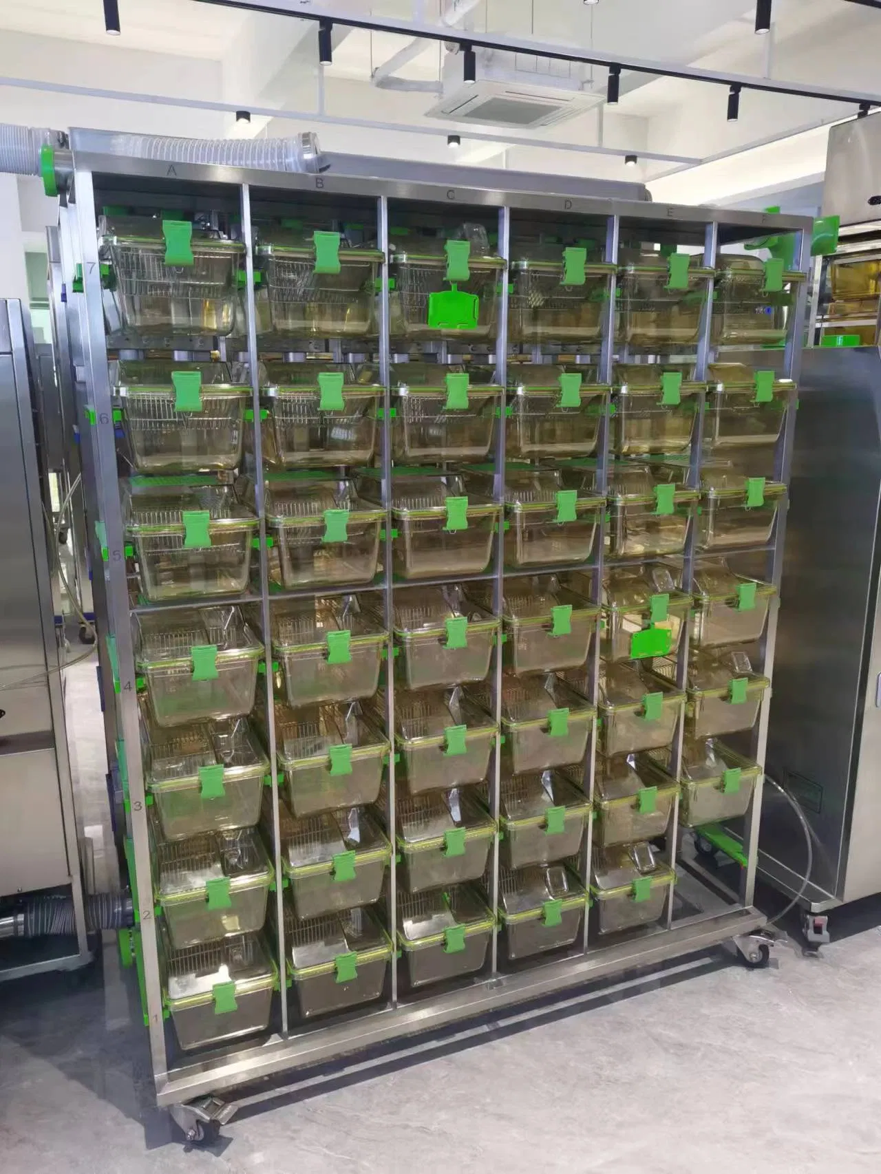 Lab Rat Ivc System Animal Individually Ventilated Cage Ivc with Rack