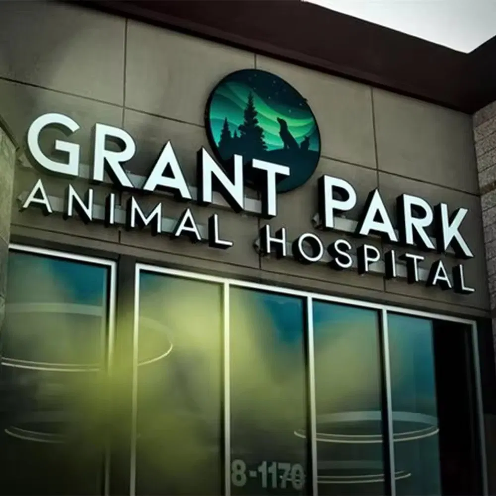 Custom Front Lit LED Logo Letter Sign Outdoor 3D Letter Sign Custom Outdoor Sign Business Retail Signboard