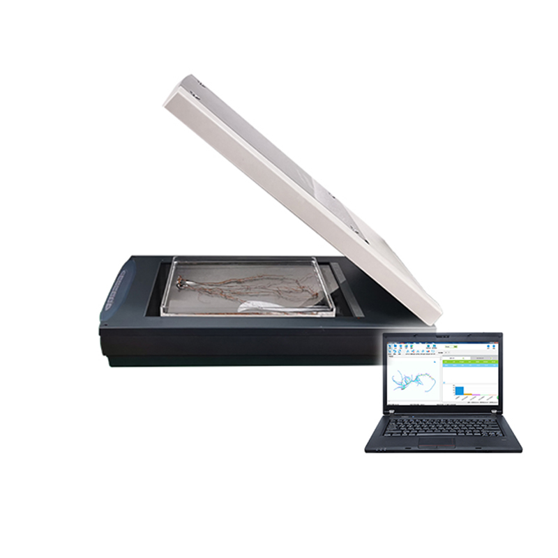 Professional Intelligence Plant Root Phenotype Analysis System