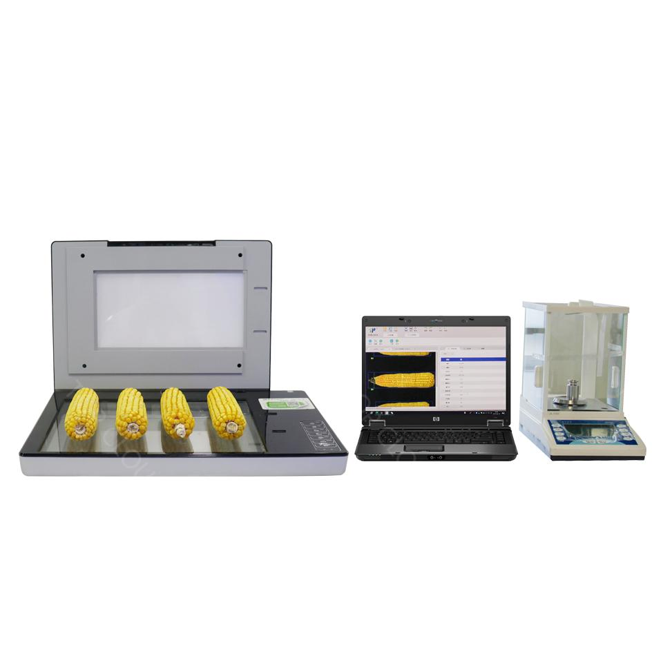 Professional Convenient Crops Study Intact Ear Section Kernels Analysis System