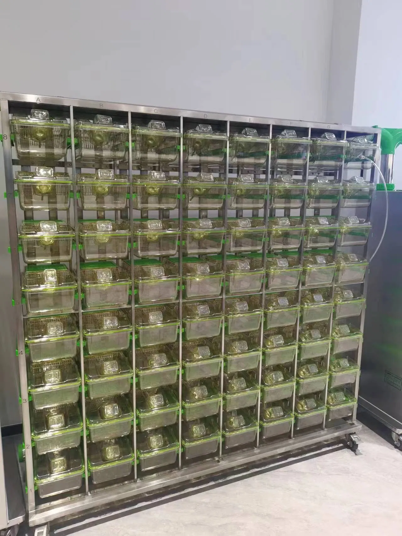 Lab Rat Ivc System Animal Individually Ventilated Cage Ivc with Rack