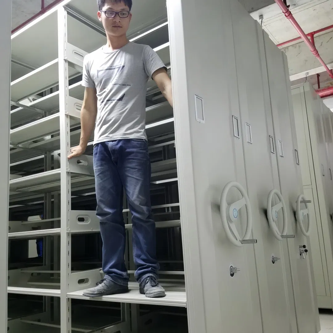 Customizable Mobile Shelving System for Efficient Lab and Archive Storage