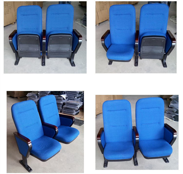 Ergonomic Theater Seating with Plush Cushions for Audiences