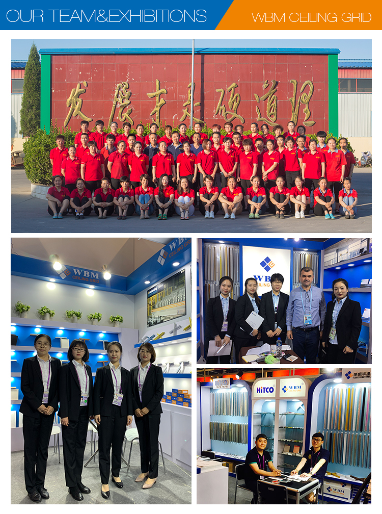 Company Introduction Overview