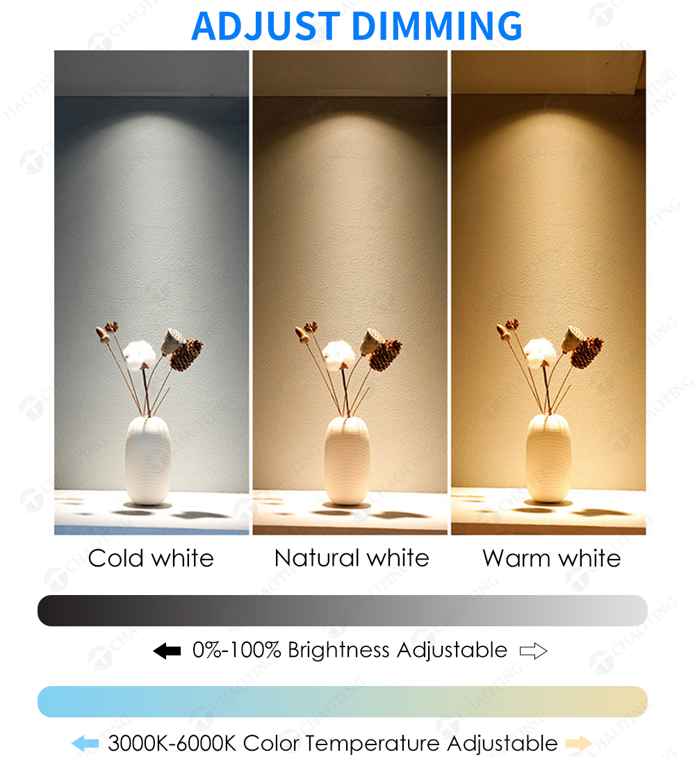 Product Details 7