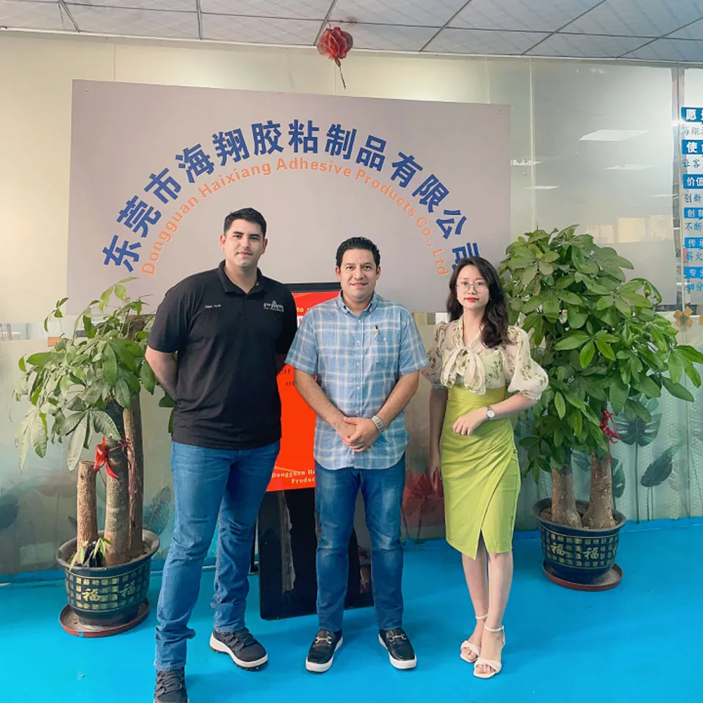 Customer Visit 5