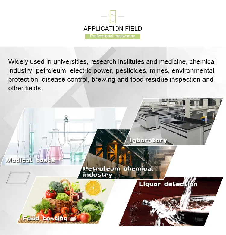 Bench Top Lab Analyzer Machine Portable Gas Chromatograph with Flame Ionization Detector (FID)