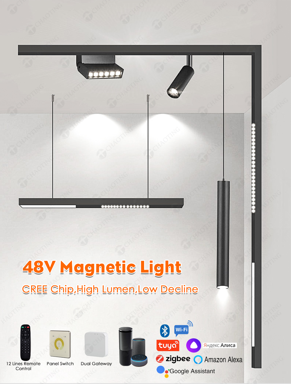 Magnetic Track Light