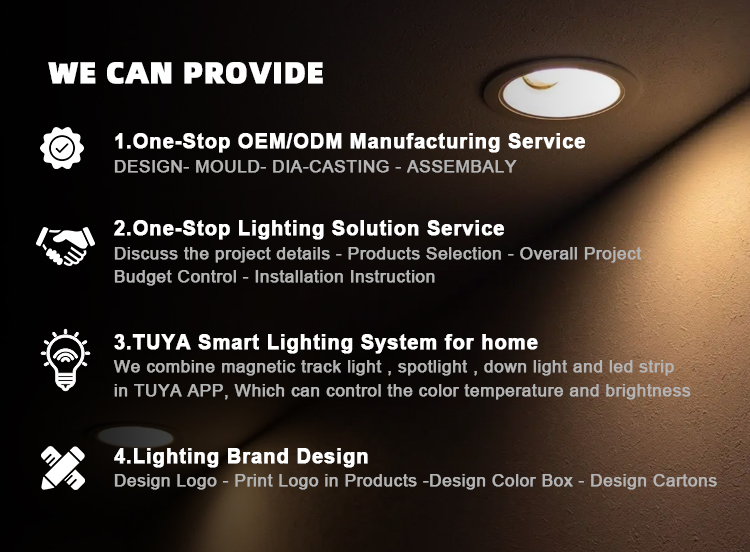 Magnetic Track Light Details