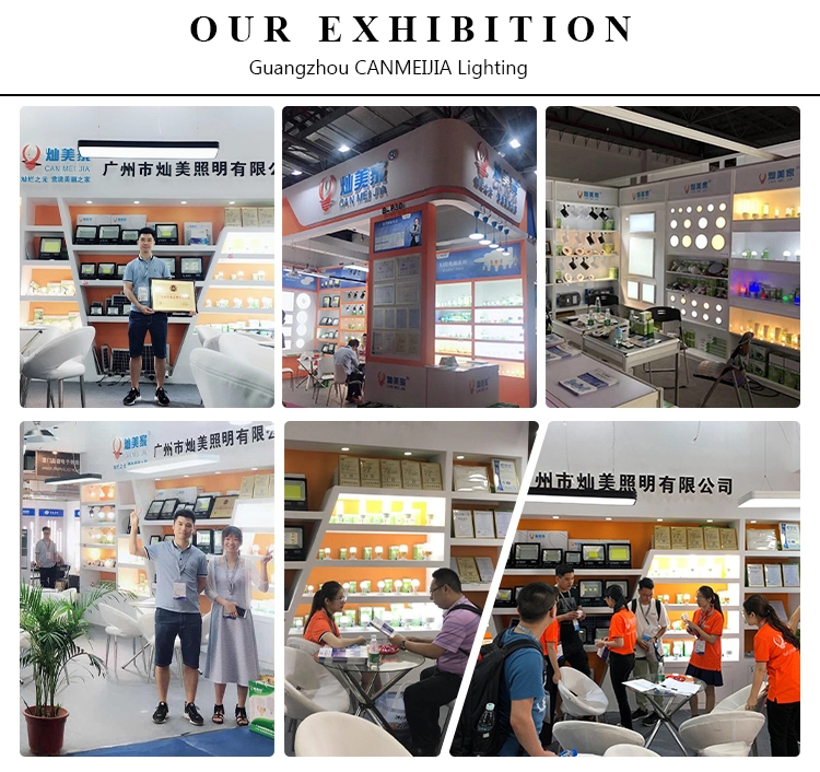 Exhibition Photo 1