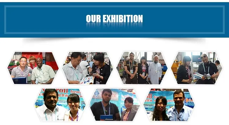 Exhibition Showcase