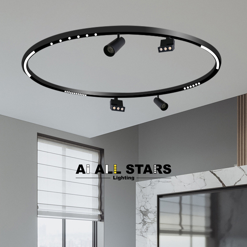 Indoor Lighting Ceiling 48V Embedded Surface Mounting Custom Arc-Shaped Track Light System Curved Magnetic Track Rail
