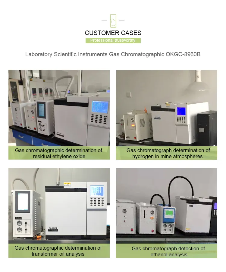 Bench Top Lab Analyzer Machine Portable Gas Chromatograph with Flame Ionization Detector (FID)
