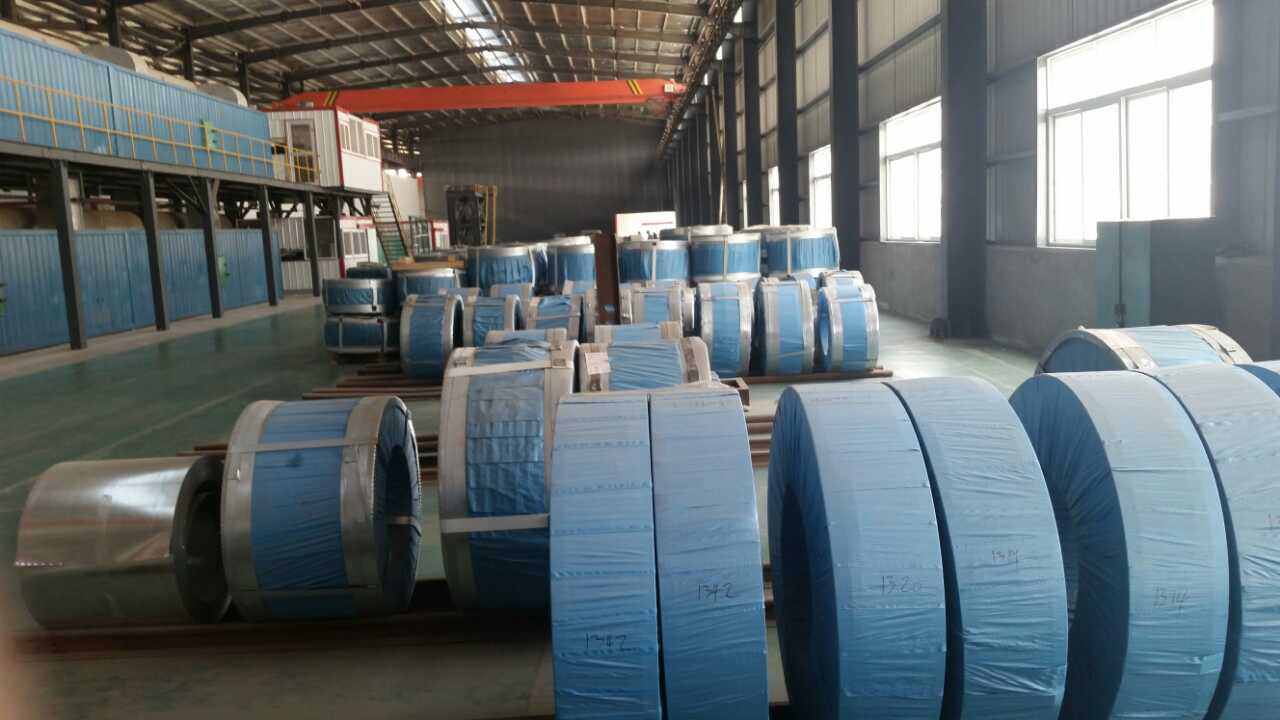 Galvanized Steel Coil