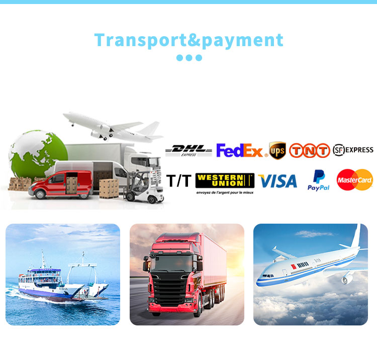 Shipping and Payment Methods