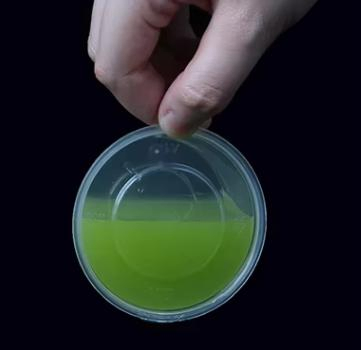 High Quality 2oz Sauce Cup Takeaway PP Plastic Sauce Cup with Lid