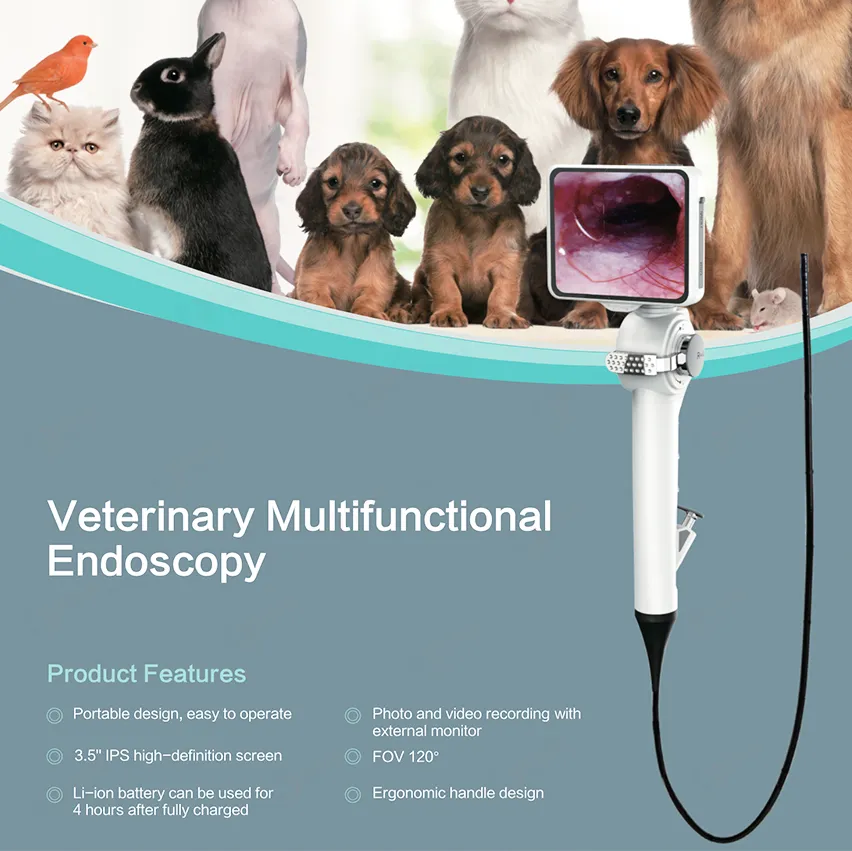 Veterinary Endoscope Imaging System