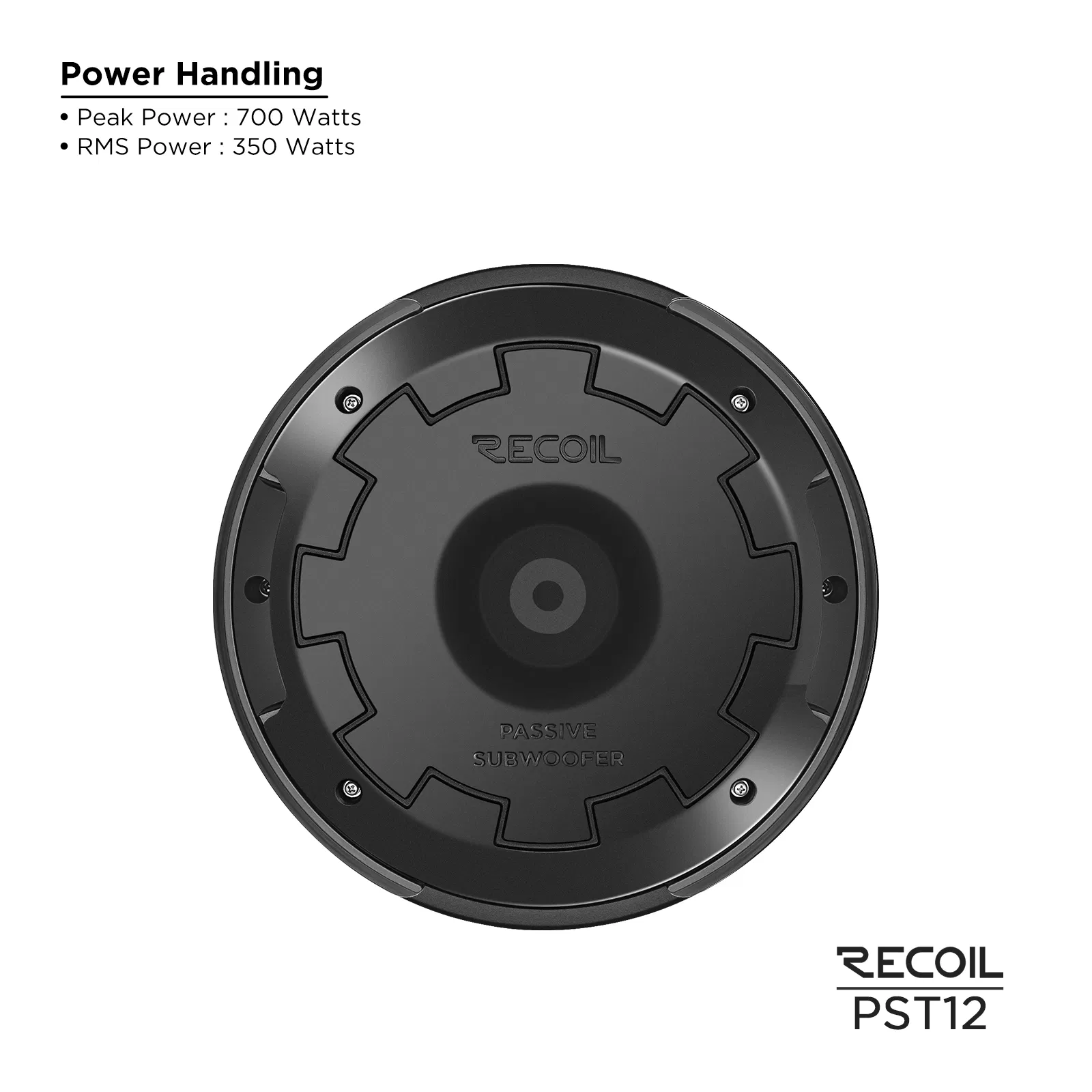 Pst12 Hidden 12” Passive Car Audio Spare Tire Subwoofer System