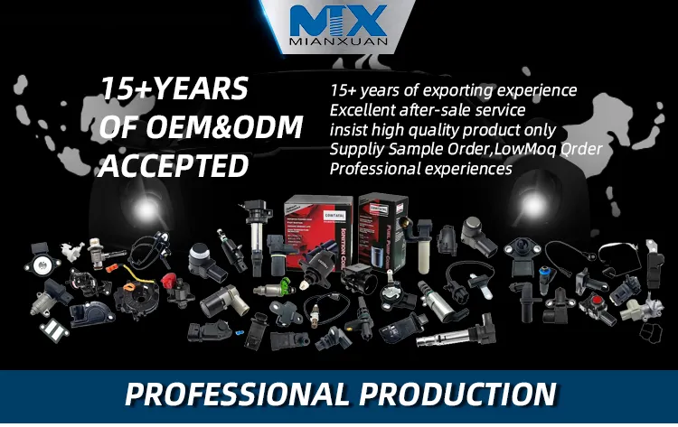 Automotive Accessories View