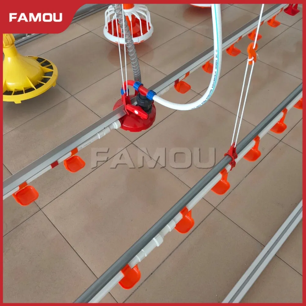 Advanced Automatic Poultry Feeding System for Broiler Efficiency