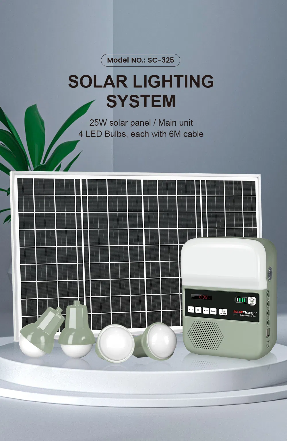 Solar LED System 10