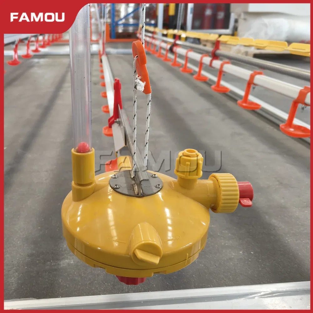 Advanced Automatic Poultry Feeding System for Broiler Efficiency