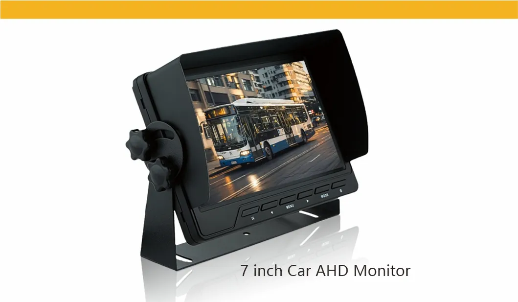 Safety Monitoring System View 1