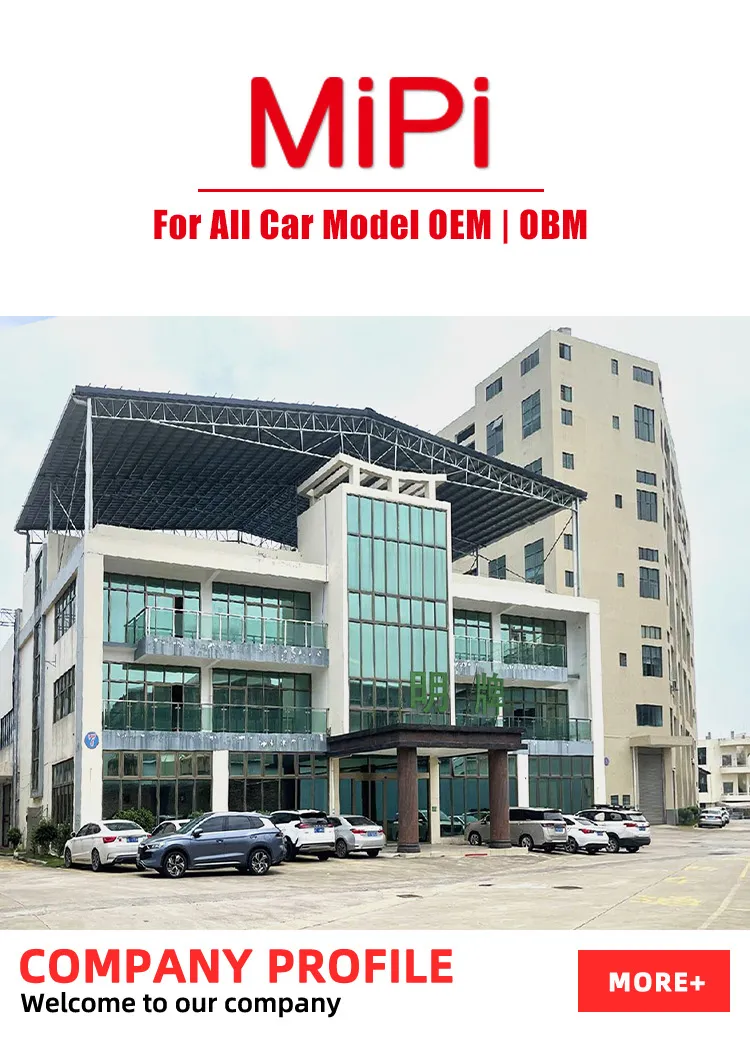 TPE Car Mat Features