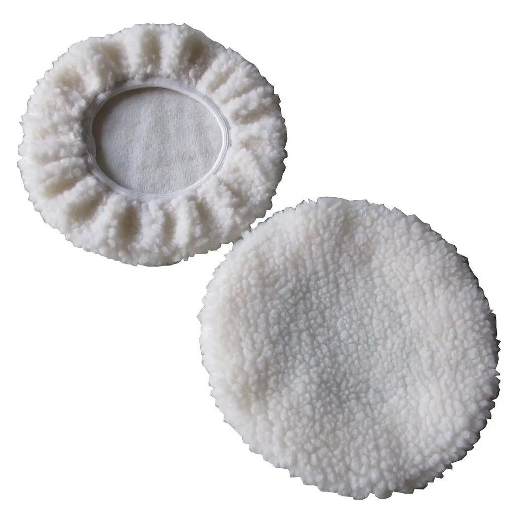 Car Cleaning Sleeve Application 3