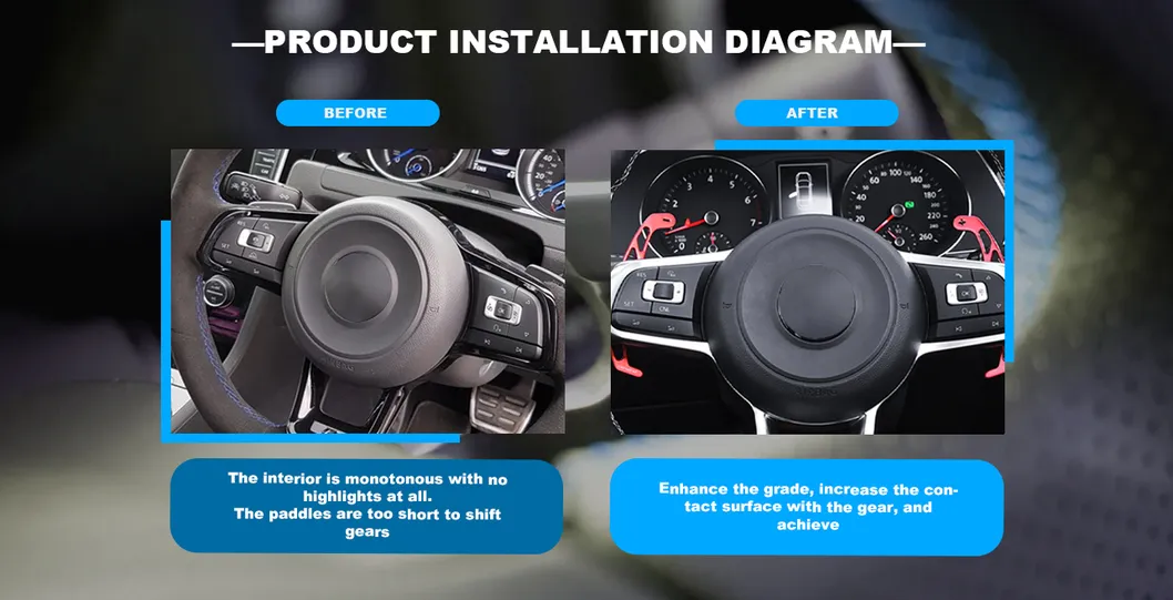 Shift Paddle Detail 1