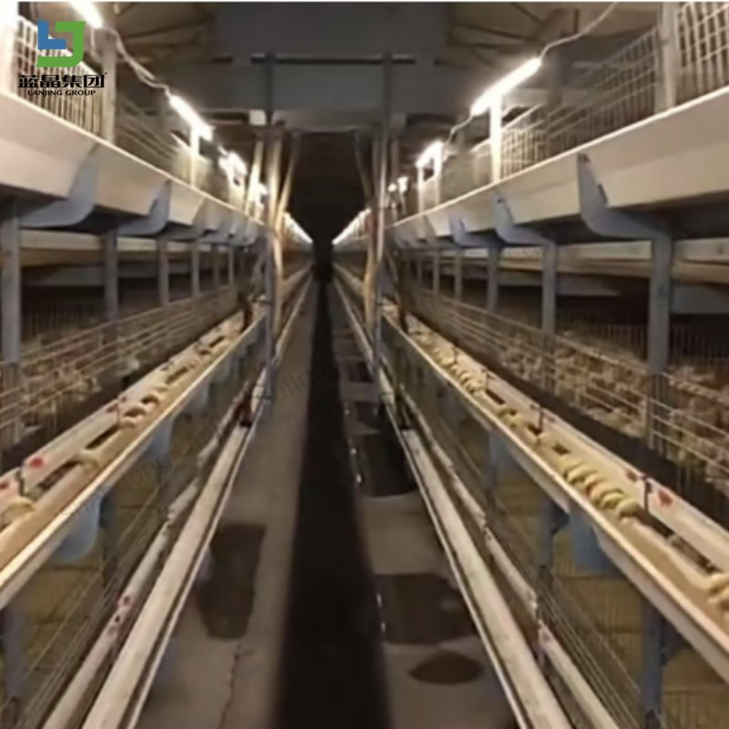 Large Span Barn Shed Metal Kits Prefab Steel Structure Building Farm Roof Truss Light Welding Cow Broiler Chicken Goat Pig House