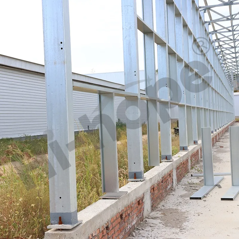 Steel Frame Erection