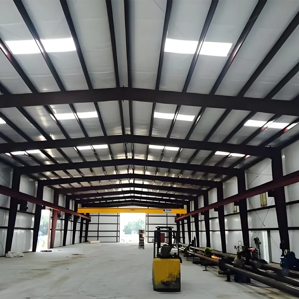 Steel Structure Project 1