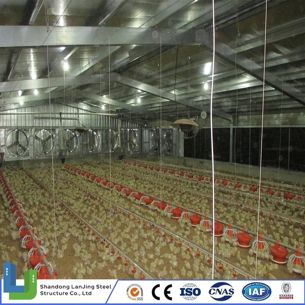 Light Material Eco-Friendly Prefabricated Building Steel Structure Chicken House Poultry Farm