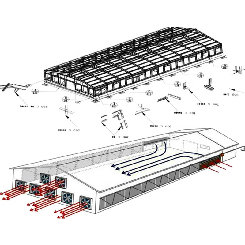 Poultry House Design