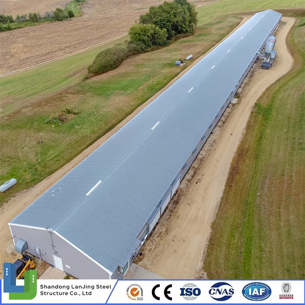 Light Material Eco-Friendly Prefabricated Building Steel Structure Chicken House Poultry Farm