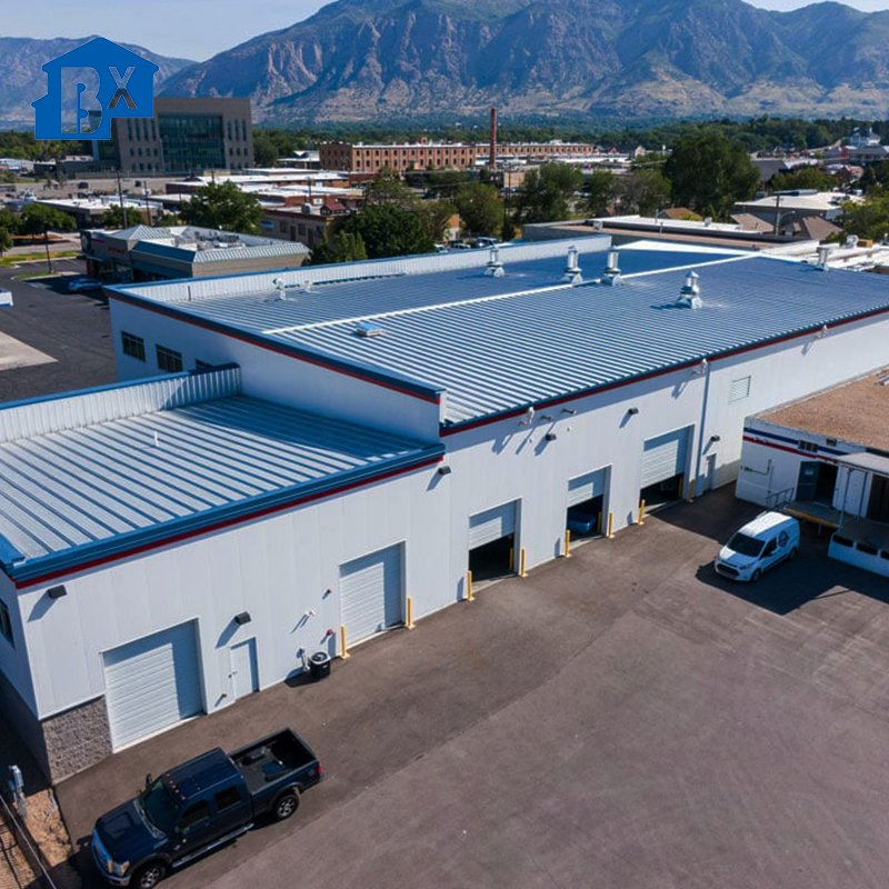 Prefabricated/Prefab Easy Installation Light Steel Structure Building for Custom Warehouse Workshop Free Style Customized