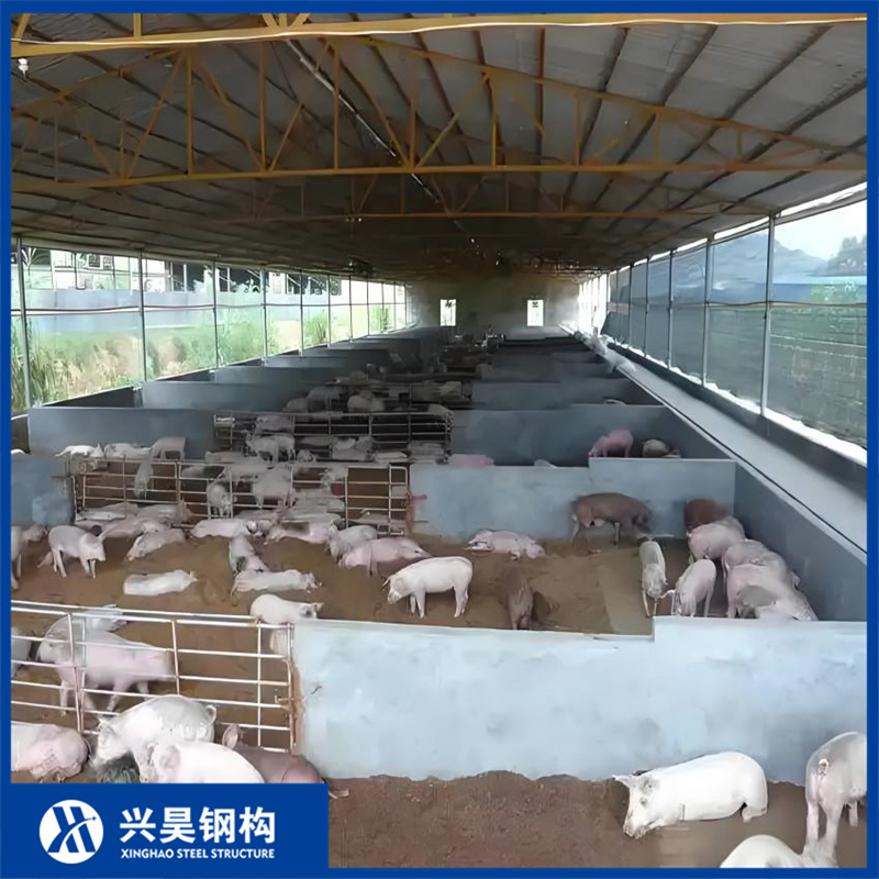 Heat-Insulated Roof Panel Prefab/Prefabricated Steel Structure Breeder/Layer/Broiler/Chicken/Poultry Shed/House