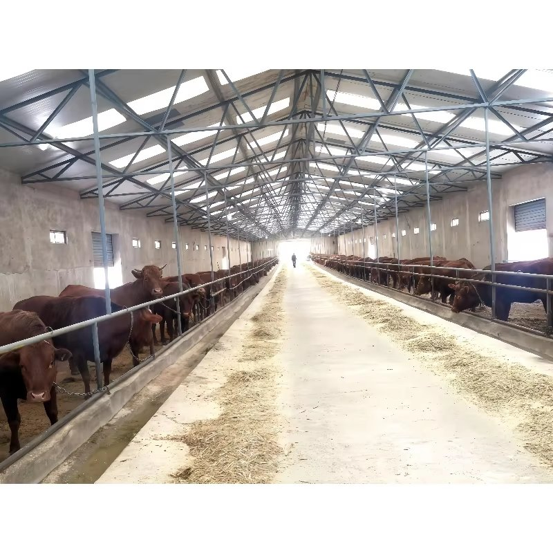 Large Span Barn Shed Metal Kits Prefab Steel Structure Building Farm Roof Truss Light Welding Cow Broiler Chicken Goat Pig House