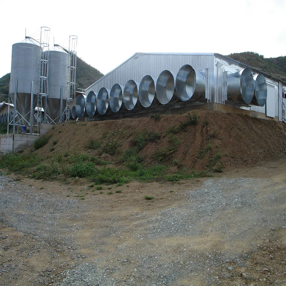 Chicken House Structure