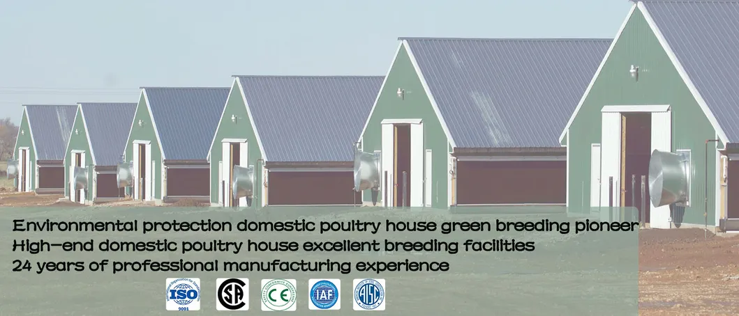 Steel Structure Building