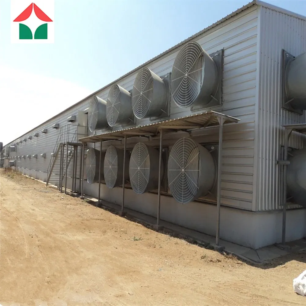 Modern Design Fully Automated Insulated Panel Prefabricated Light Construction Poultry Farms Steel Structure Building Shed Broilers Layers Chicken House