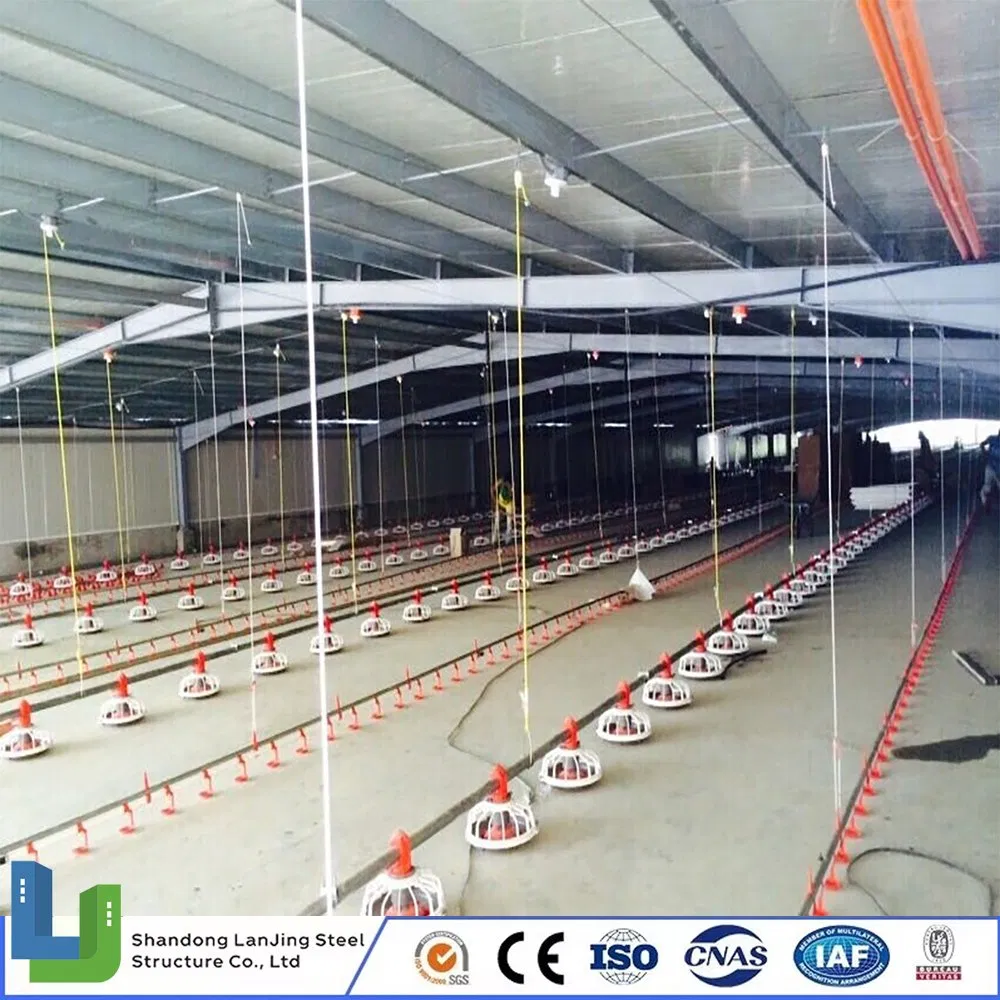 Light Material Eco-Friendly Prefabricated Building Steel Structure Chicken House Poultry Farm