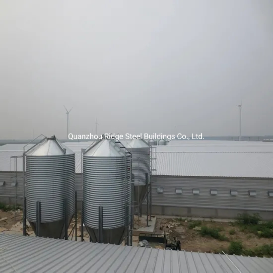 Automatic Prefab/Prefabricated Steel Structure Chicken Poultry House