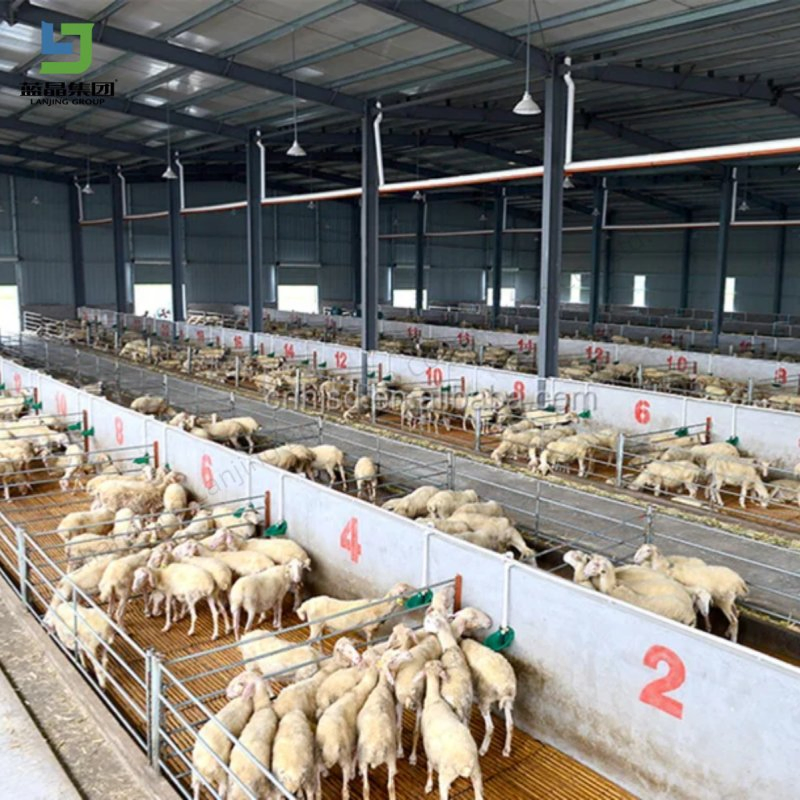 Large Span Barn Shed Metal Kits Prefab Steel Structure Building Farm Roof Truss Light Welding Cow Broiler Chicken Goat Pig House