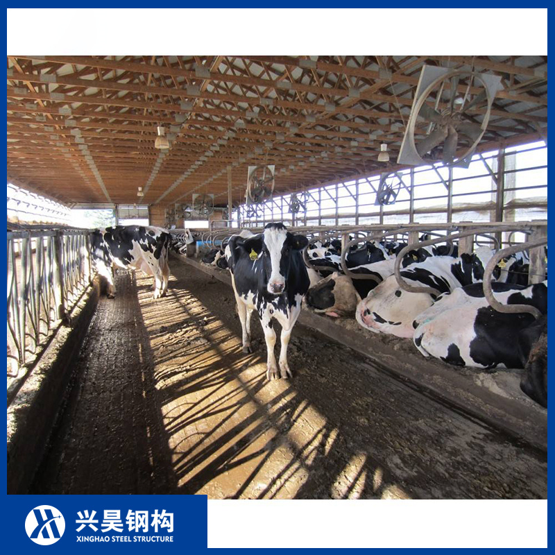 Heat-Insulated Roof Panel Prefab/Prefabricated Steel Structure Breeder/Layer/Broiler/Chicken/Poultry Shed/House