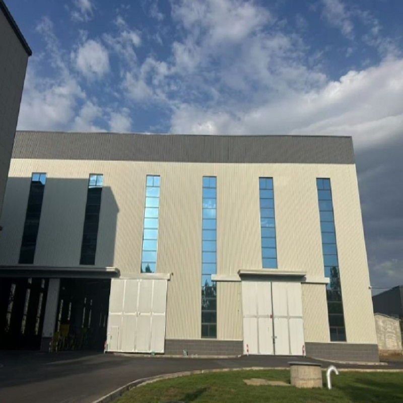 Customized Prefabricated Steel Structure Buildings for Industrial Buildings, Warehouses and Workshops