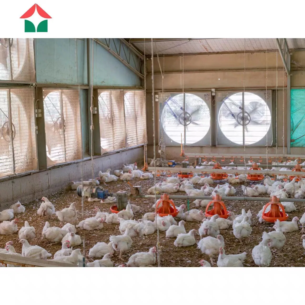 Modern Design Fully Automated Insulated Panel Prefabricated Light Construction Poultry Farms Steel Structure Building Shed Broilers Layers Chicken House